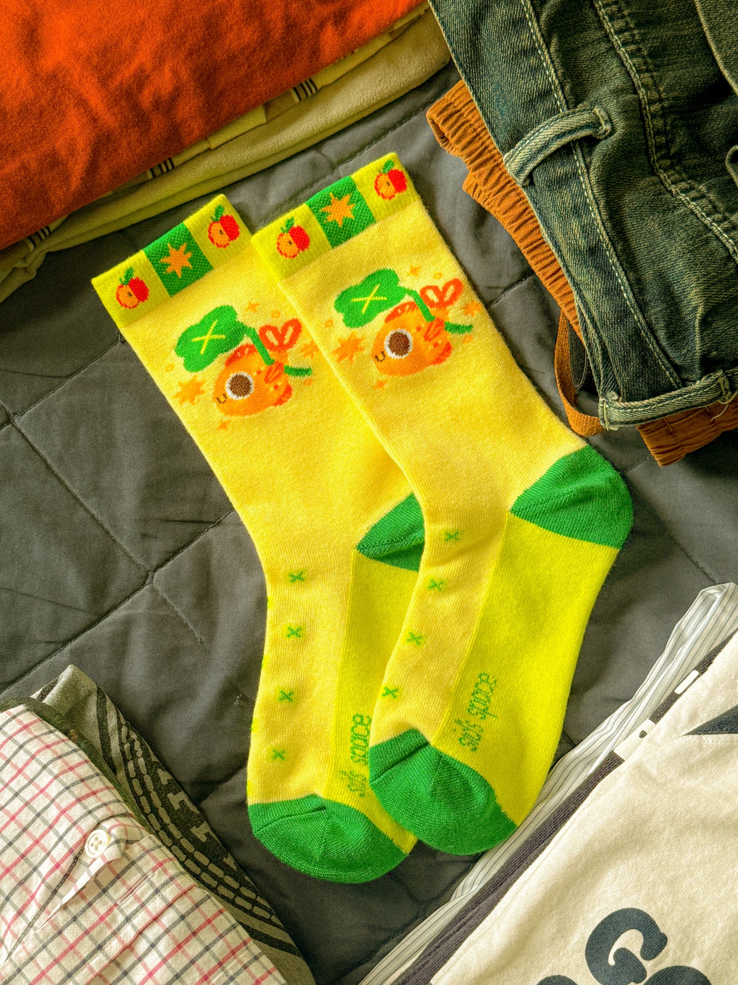 Lucky Brian Socks | Cute Goldfish Casual Everyday Socks